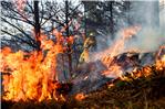 DECRETO DICHIARAZIONE STATO DI GRAVE PERICOLOSITA' INCENDI BOSCHIVI